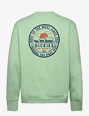 Dickies - GREENSBURG SWEATSHIRT - sweatshirts - quiet green - 6
