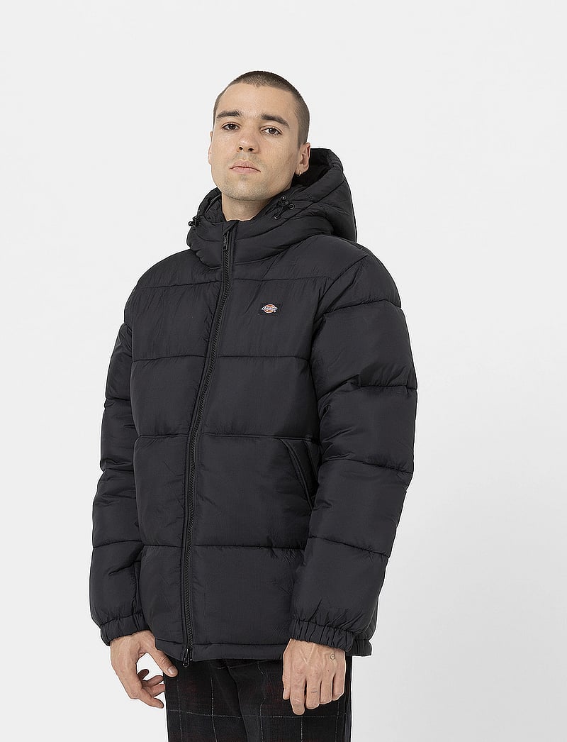 Dickies Waldenburg Hooded Jacket 159 Achetez des Vestes