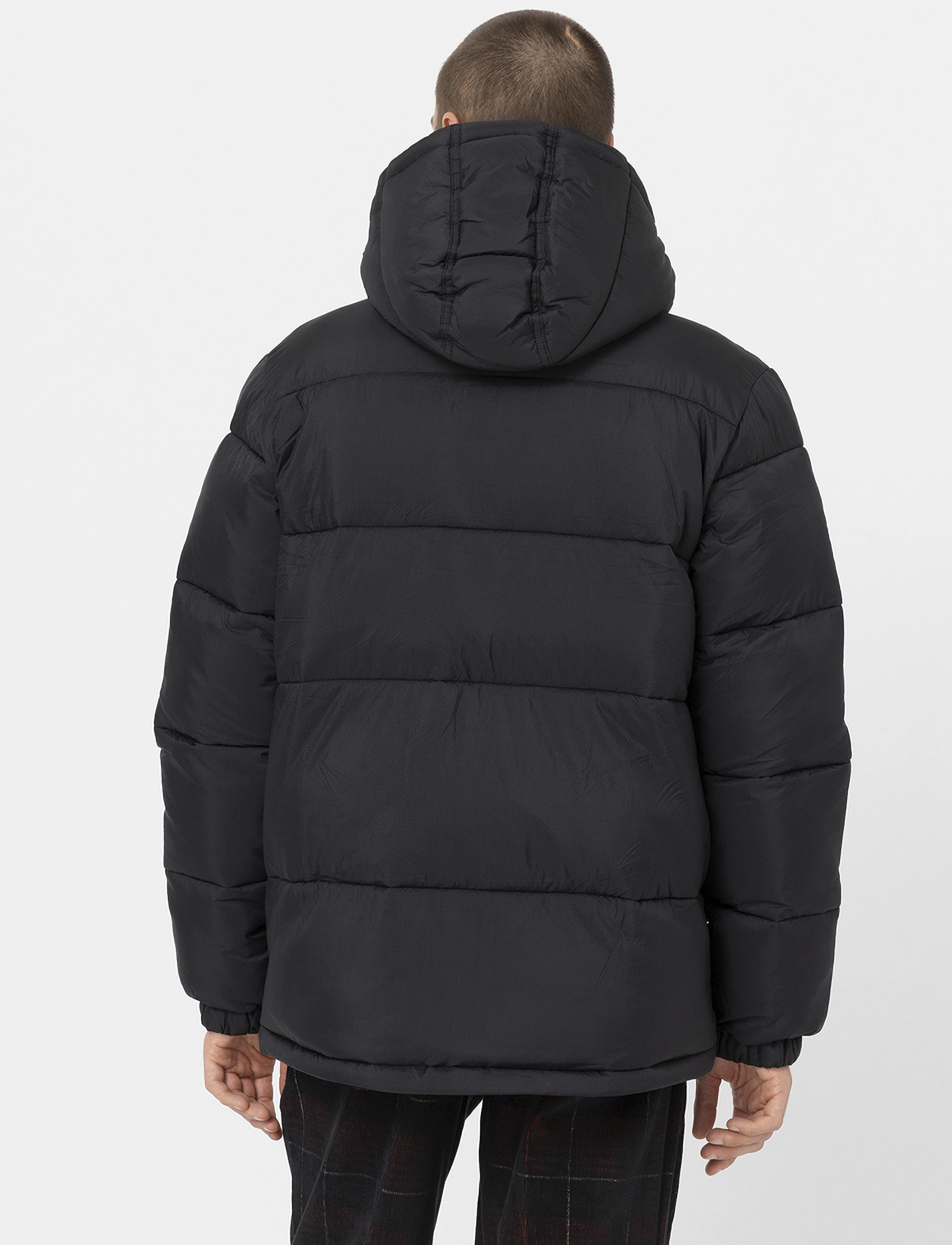 Dickies - WALDENBURG HOODED JACKET - black - 3