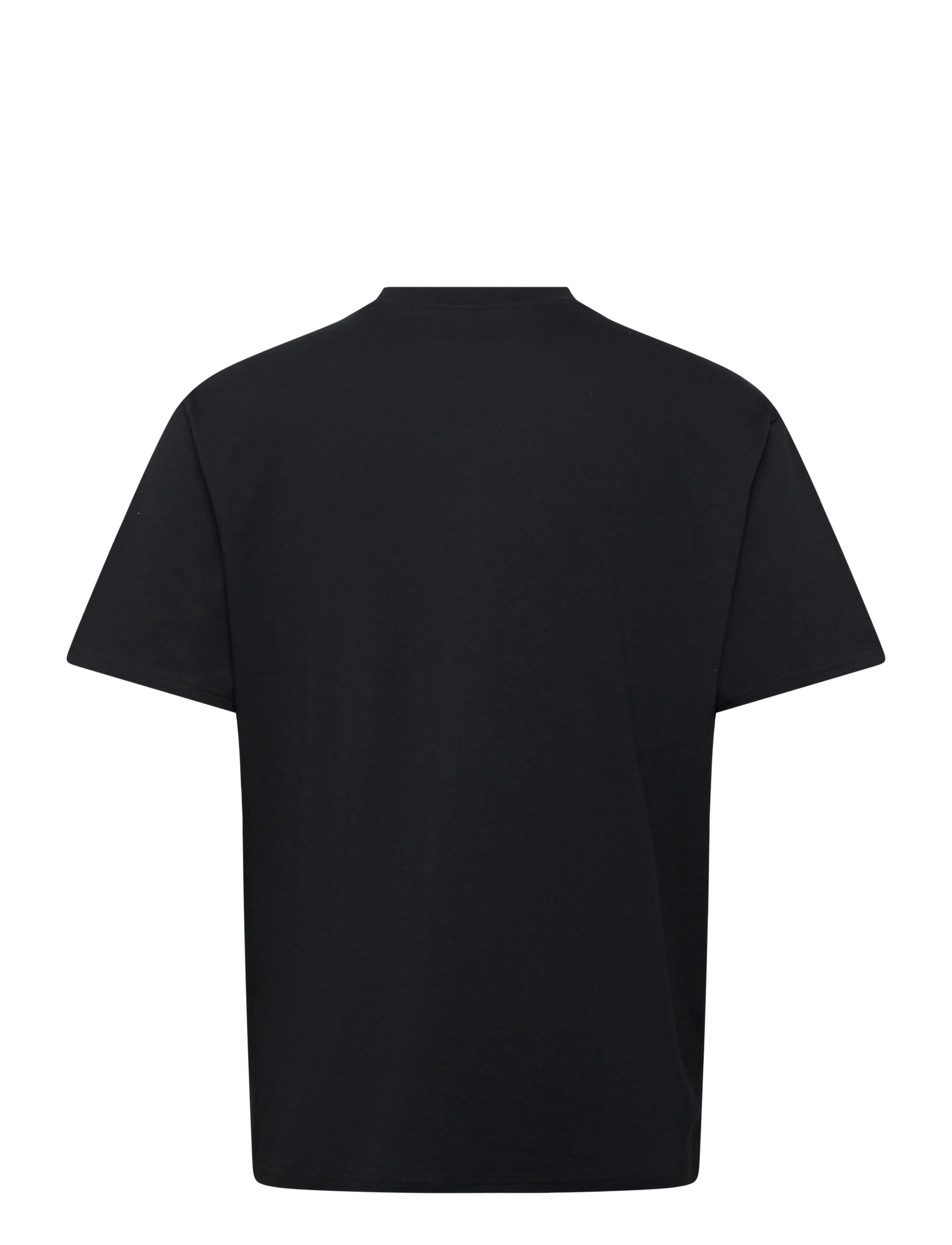 Dickies - LURAY POCKET TEE SS - kurzärmelig - black - 2