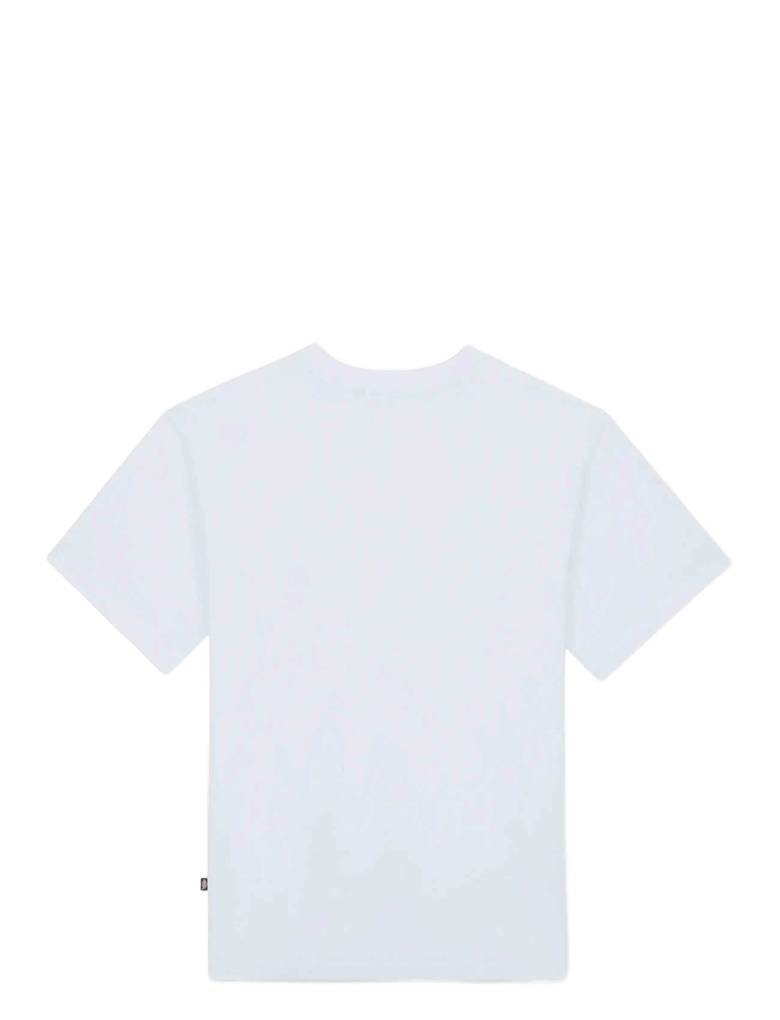 Dickies - LURAY POCKET TEE SS - kortærmede t-shirts - white - 2