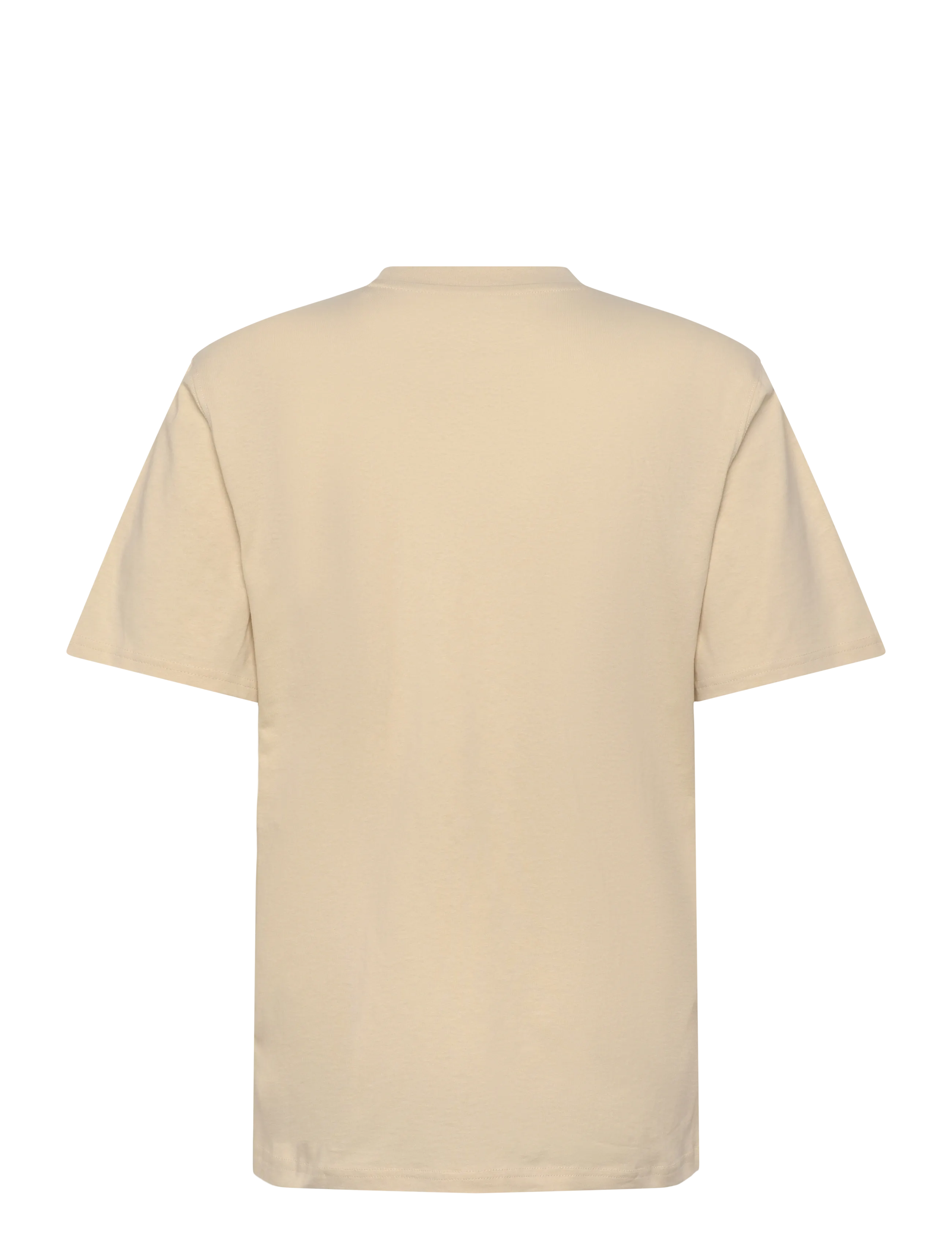 Dickies - LURAY POCKET TEE SS - lühikeste varrukatega t-särgid - wood ash - 2
