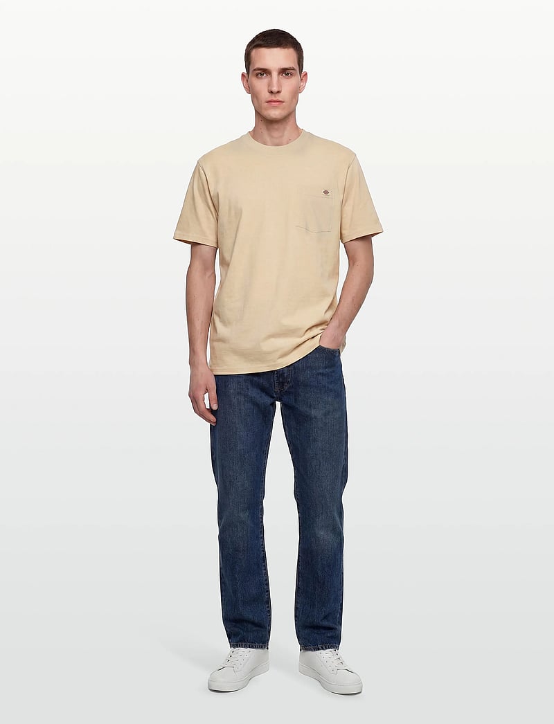 Dickies - LURAY POCKET TEE SS - kurzärmelig - wood ash - 0