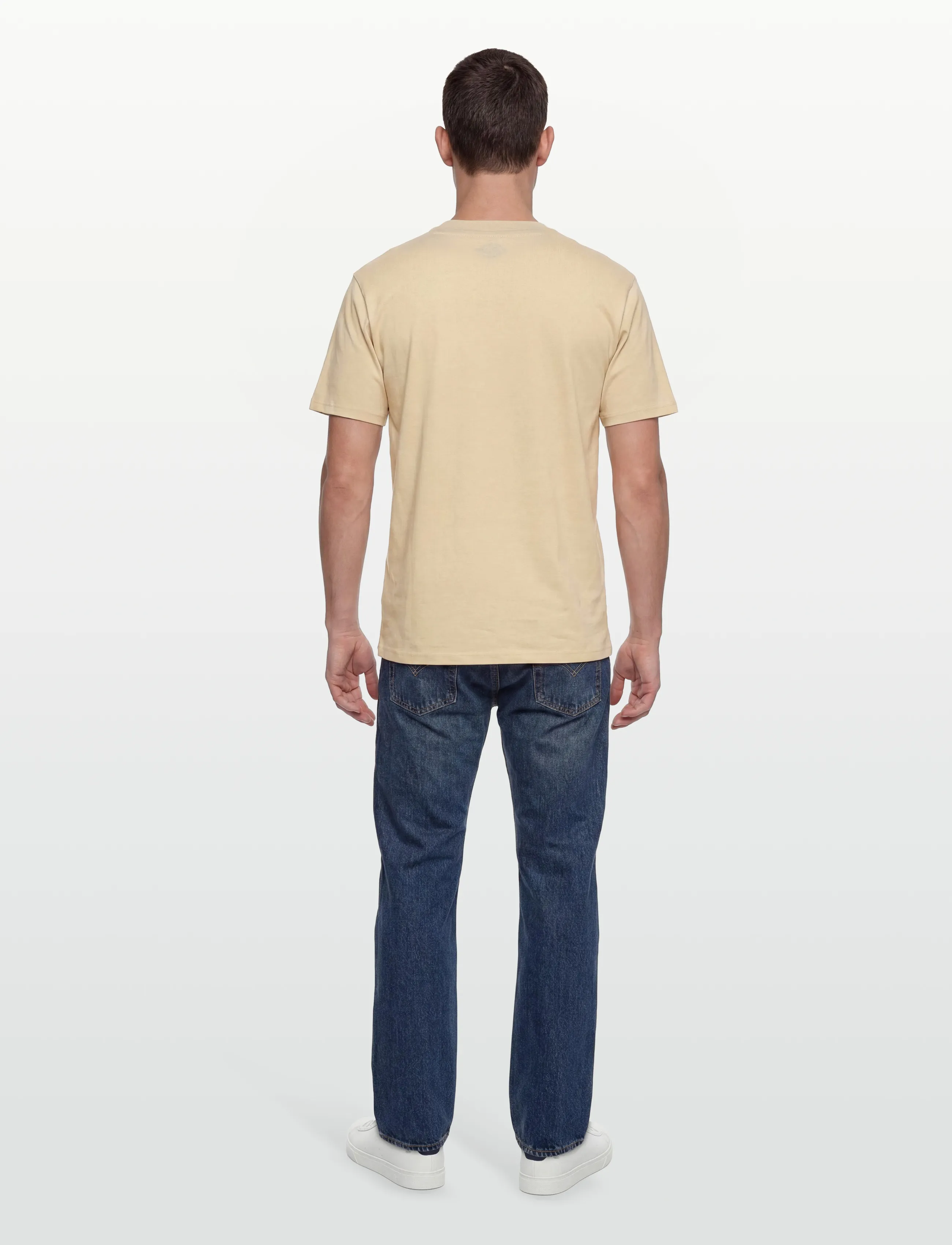 Dickies - LURAY POCKET TEE SS - lühikeste varrukatega t-särgid - wood ash - 4