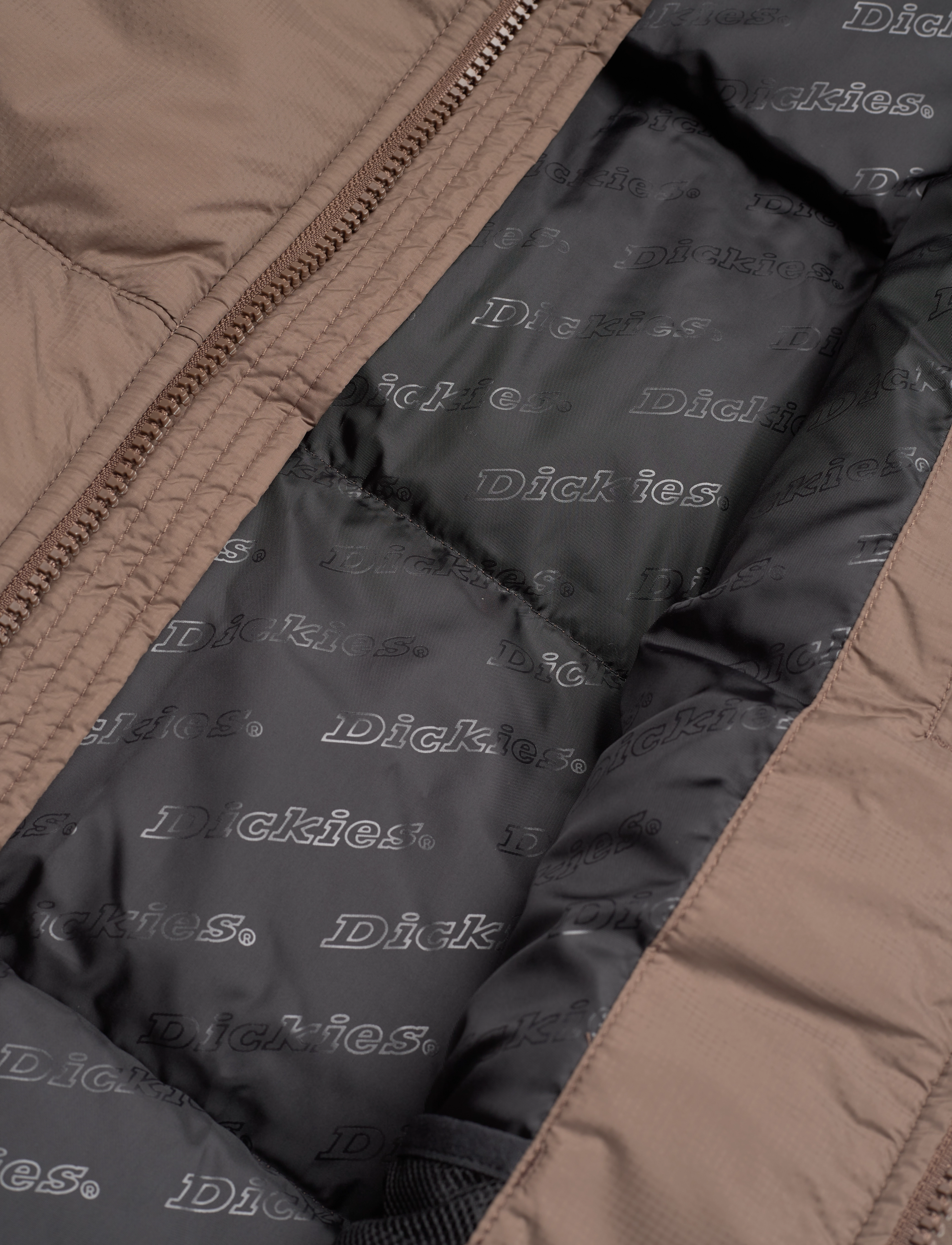 Dickies - ALATNA OVERSIZED PUFFER - mushroom - 4