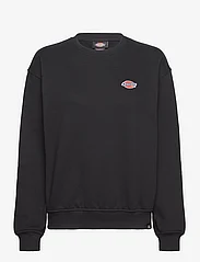Dickies - MILLERSBURG SWEATSHIRT W - sportiska stila džemperi un džemperi ar kapuci - black - 0