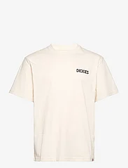 Dickies - BEACH TEE SS - short-sleeved t-shirts - whitecap gray - 0