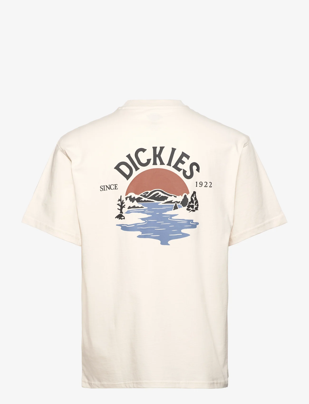 Dickies - BEACH TEE SS - lägsta priserna - whitecap gray - 1