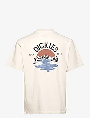 Dickies - BEACH TEE SS - short-sleeved t-shirts - whitecap gray - 2