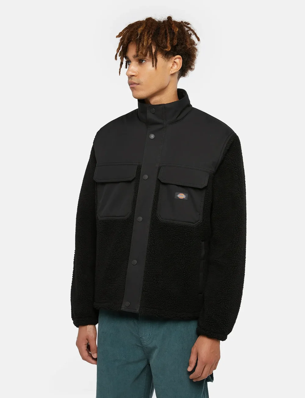 Dickies - PINESDALE JACKET - efterårsjakker - black - 0