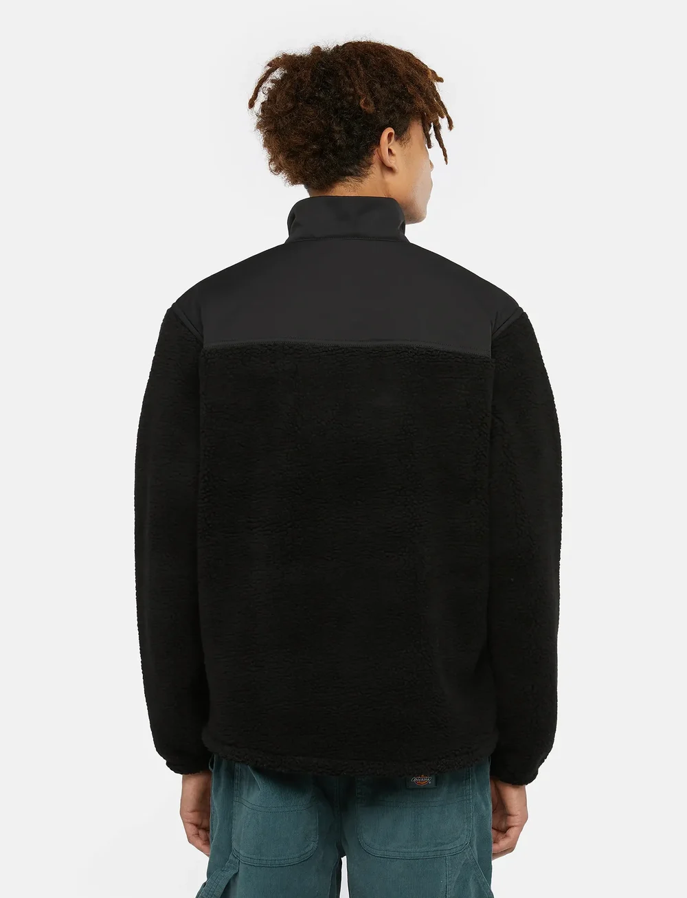 Dickies - PINESDALE JACKET - efterårsjakker - black - 3