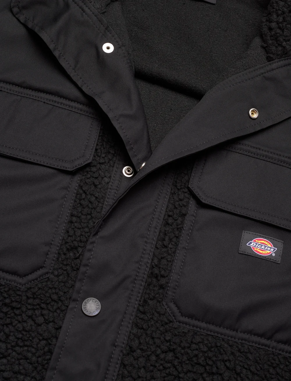 Dickies - PINESDALE JACKET - efterårsjakker - black - 4