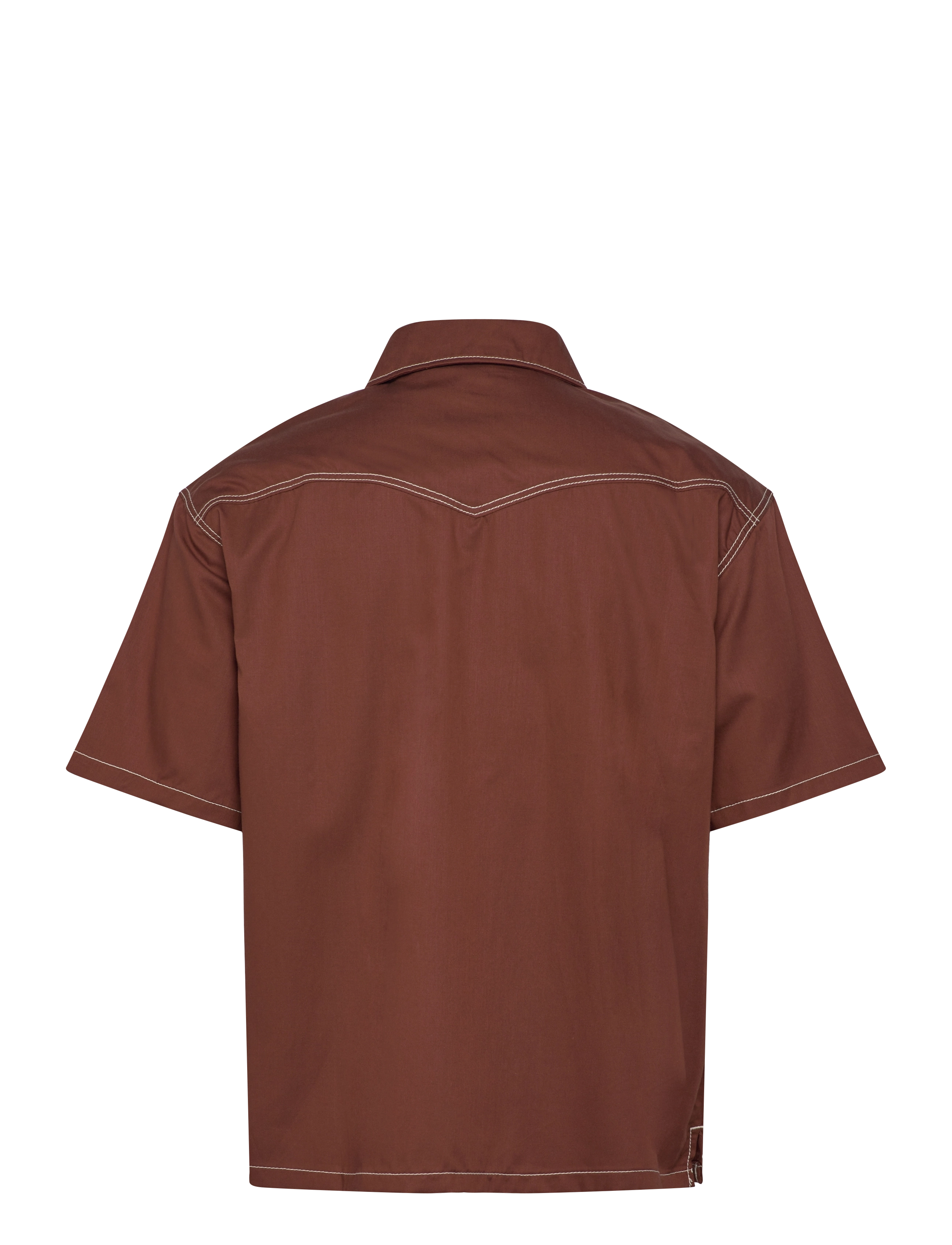 Dickies - RIVER RANCH WORK SHIRT SS - kurzärmelig - cappuccino - 2