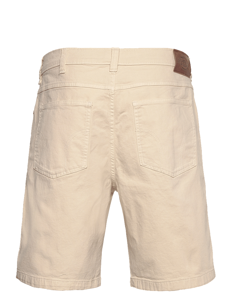 Dickies - RIVER RANCH WORK SHORT - casual shorts - whitecap gray - 2