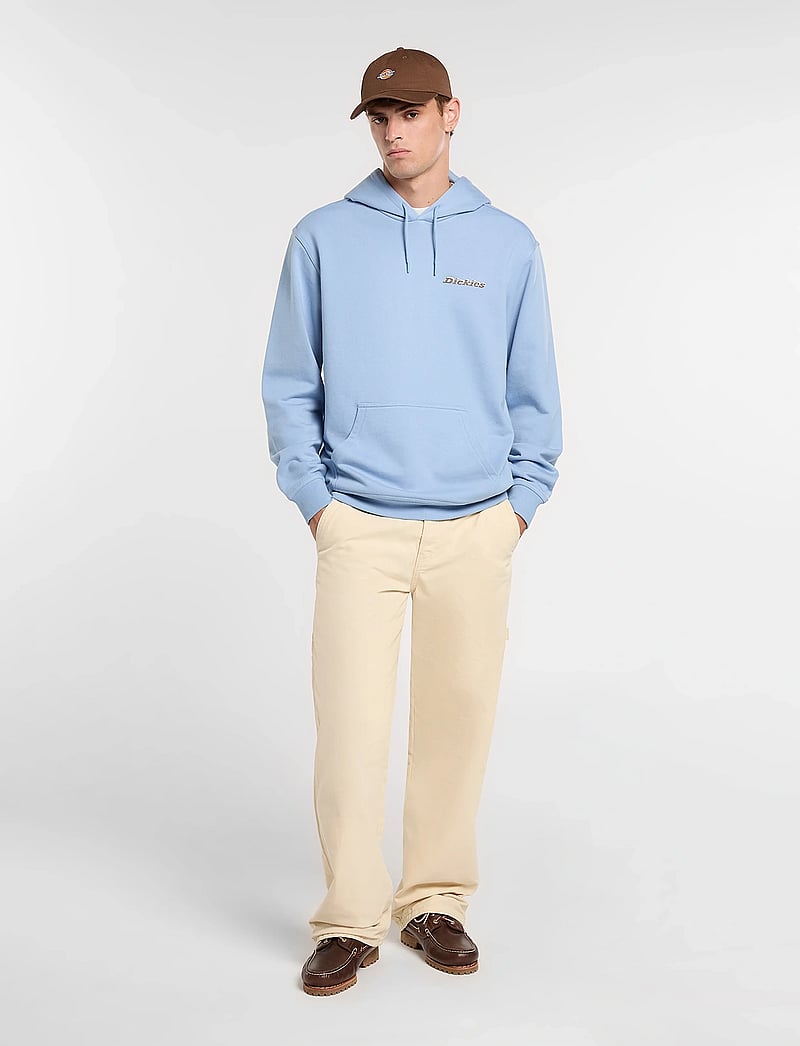 Dickies - CANVAS CARPENTER - vabaaja püksid - wood ash - 4