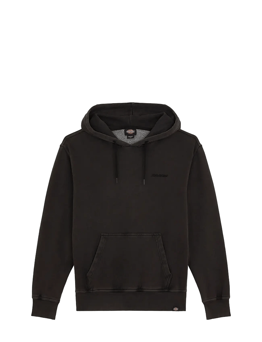 Dickies - PLENTYWOOD HOODIE - sweats à capuche - black - 1