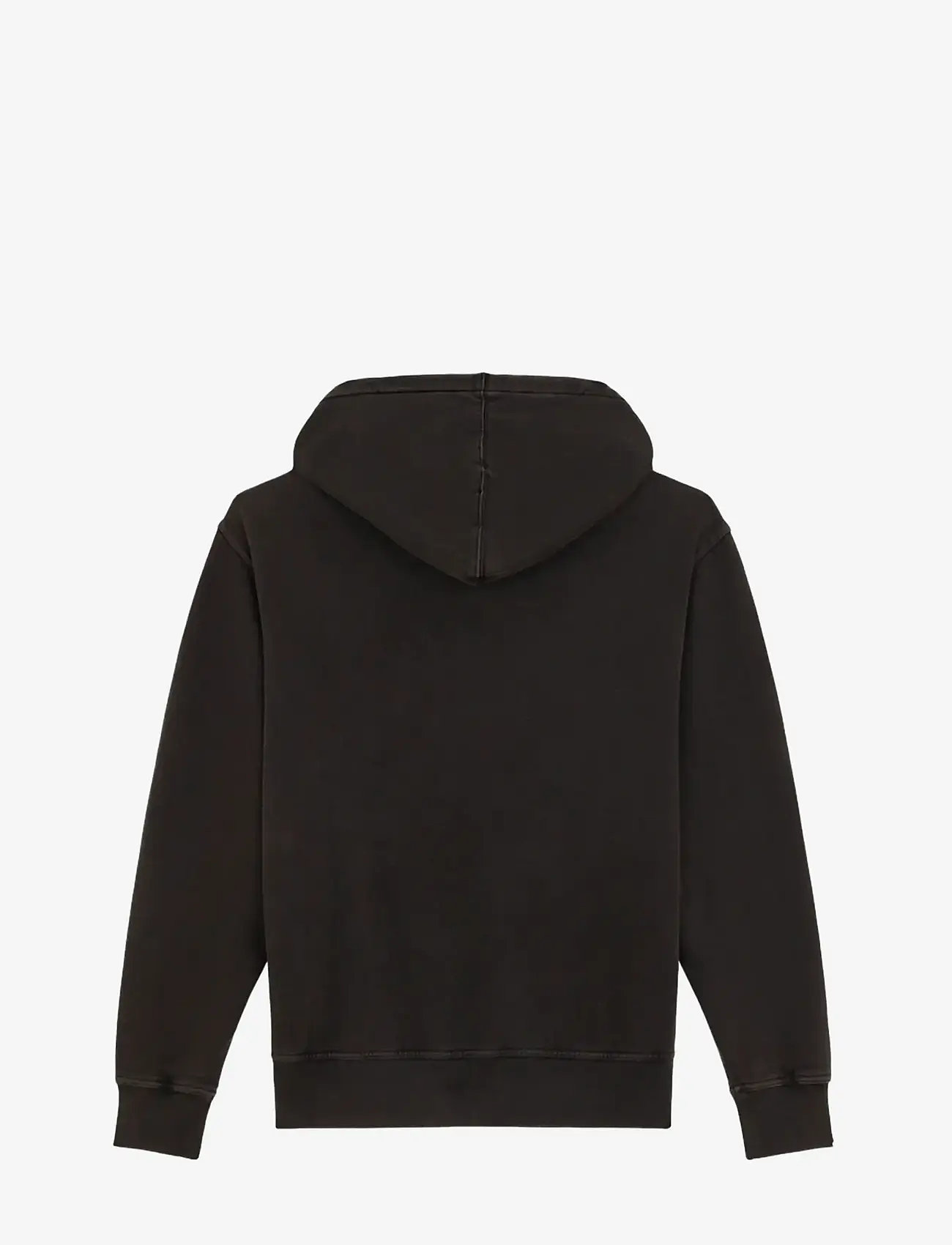 Dickies - PLENTYWOOD HOODIE - kapuutsiga dressipluusid - black - 2