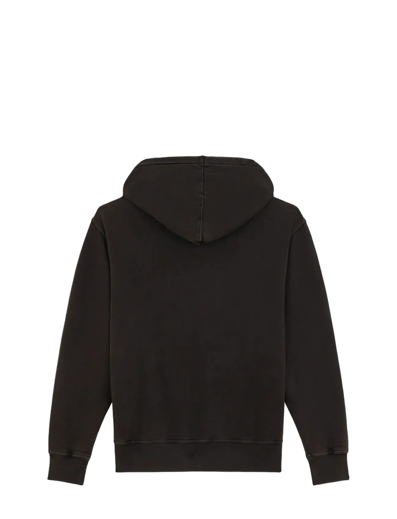 Dickies - PLENTYWOOD HOODIE - hupparit - black - 2