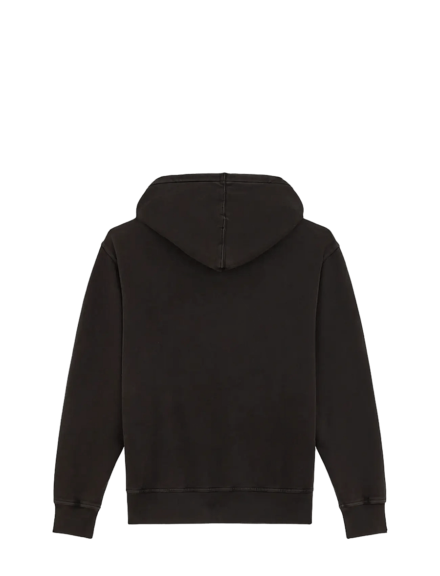 Dickies - PLENTYWOOD HOODIE - sweats à capuche - black - 2