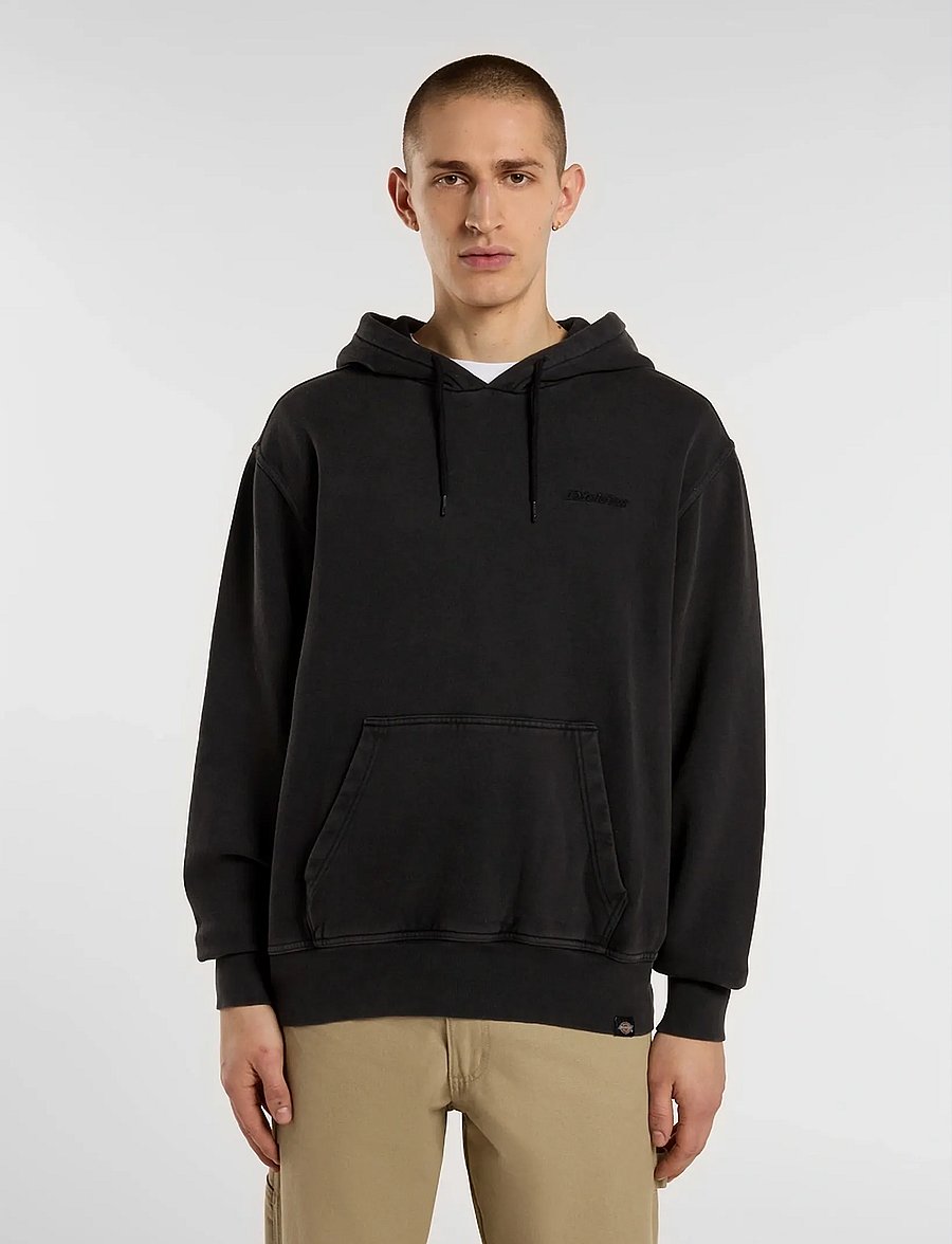 Dickies - PLENTYWOOD HOODIE - sweats à capuche - black - 0