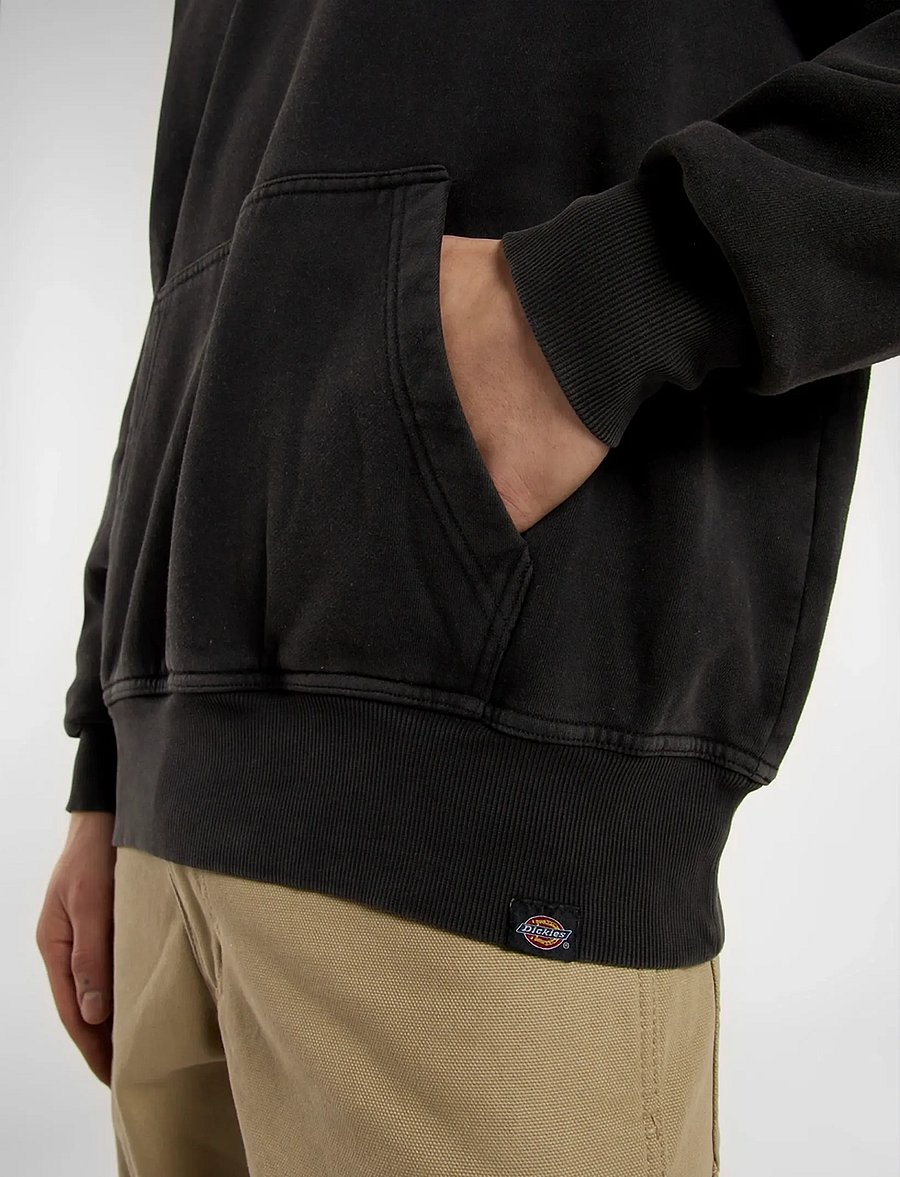 Dickies - PLENTYWOOD HOODIE - sweats à capuche - black - 5