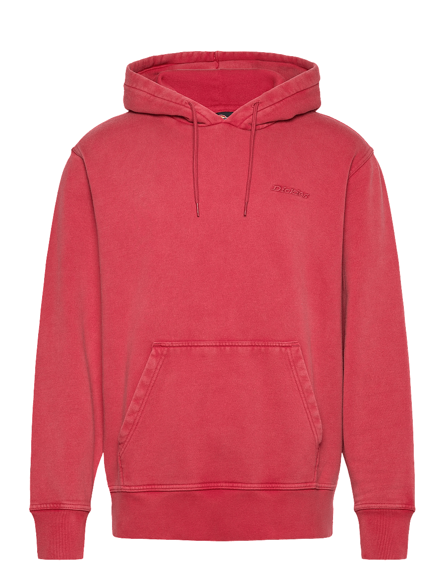 Dickies - PLENTYWOOD HOODIE - sweats à capuche - garnet - 1