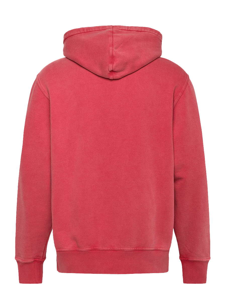 Dickies - PLENTYWOOD HOODIE - sweats à capuche - garnet - 2