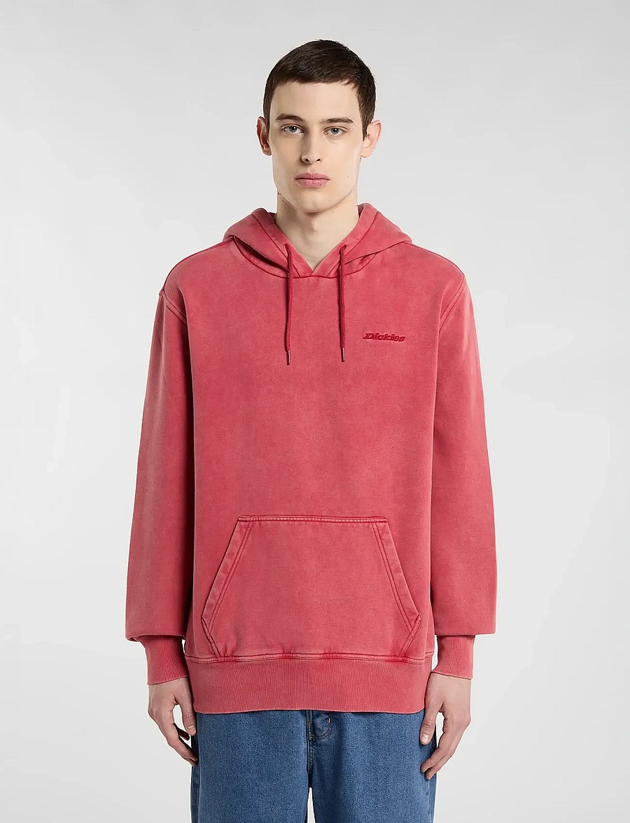Dickies - PLENTYWOOD HOODIE - sweats à capuche - garnet - 0
