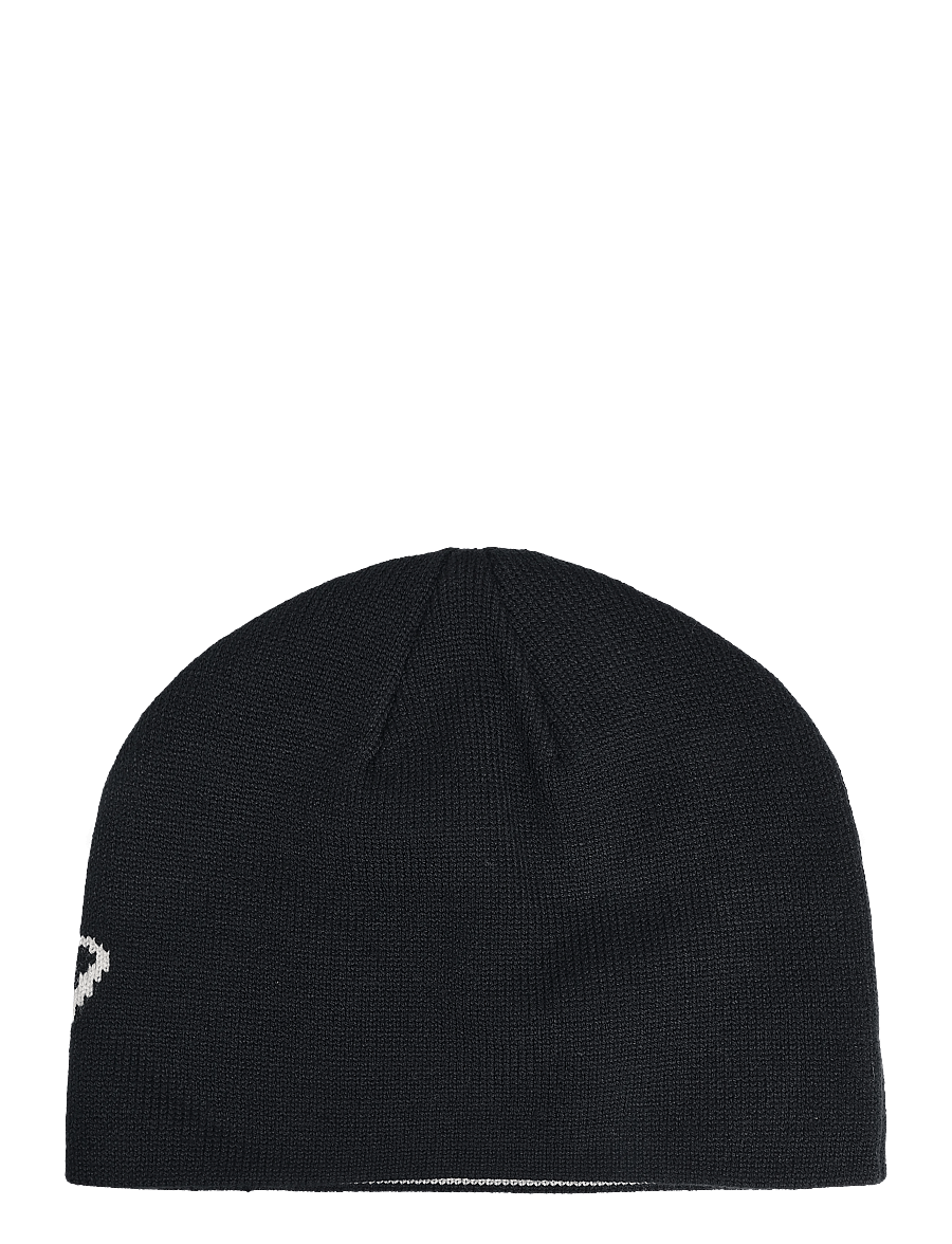 Dickies - SUMMERDALE LOGO BEANIE - shop by style - black - 1