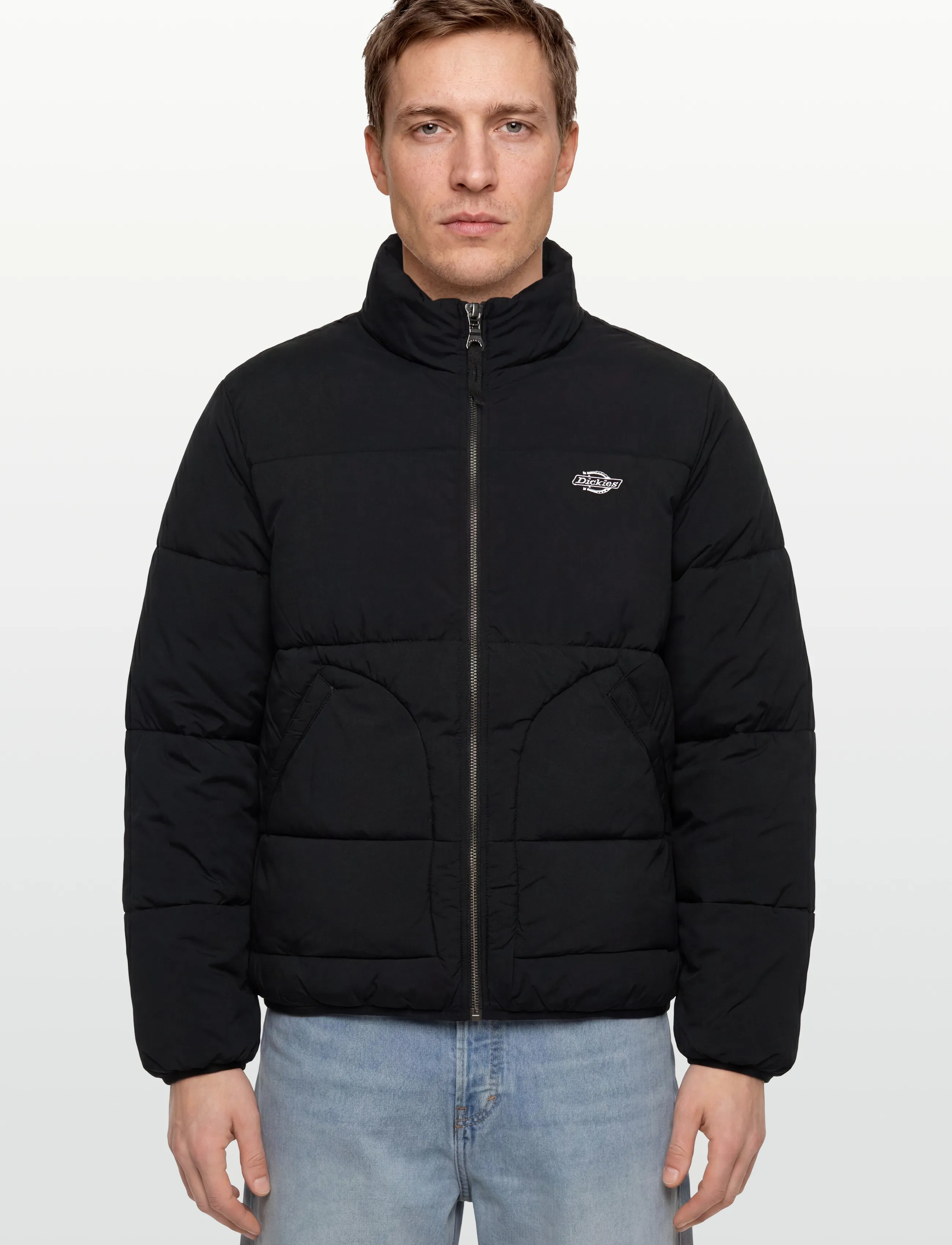 Dickies - M SUMMERDALE PUFFER - winter jackets - black - 3