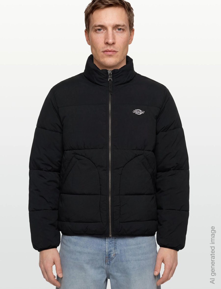 Dickies - M SUMMERDALE PUFFER - frühlingsjacken - black - 3