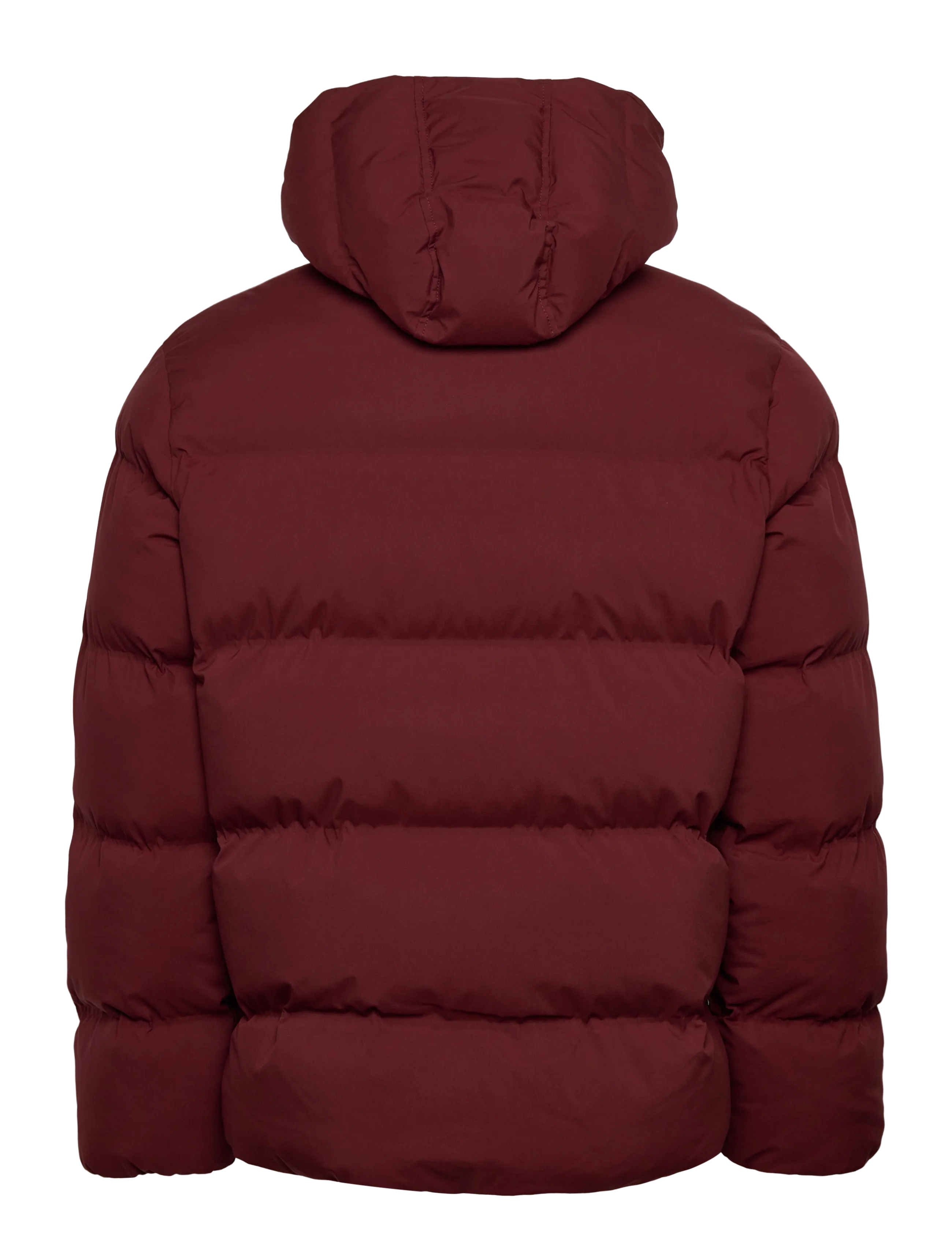 Dickies - EAGLEVILLE HOODED PUFFER - vestes matelassées - andorra - 2