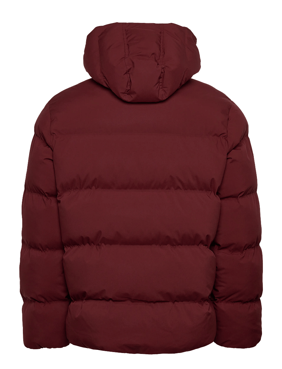 Dickies - EAGLEVILLE HOODED PUFFER - winter jackets - andorra - 2