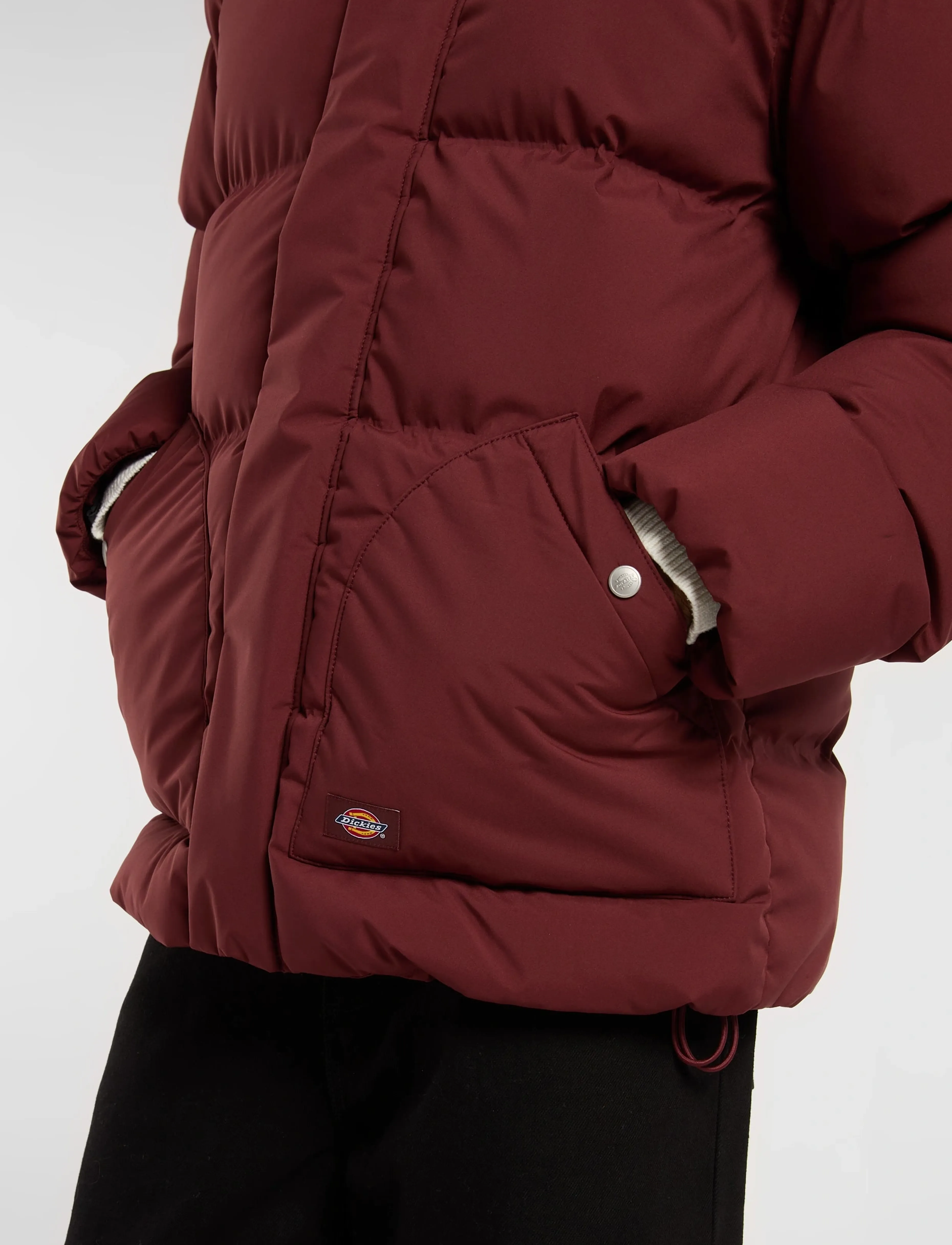 Dickies - EAGLEVILLE HOODED PUFFER - vestes matelassées - andorra - 3