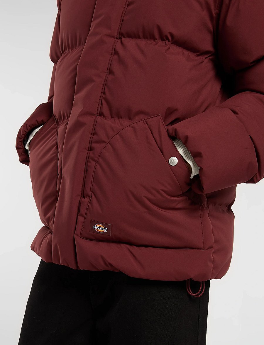 Dickies - EAGLEVILLE HOODED PUFFER - winter jackets - andorra - 3