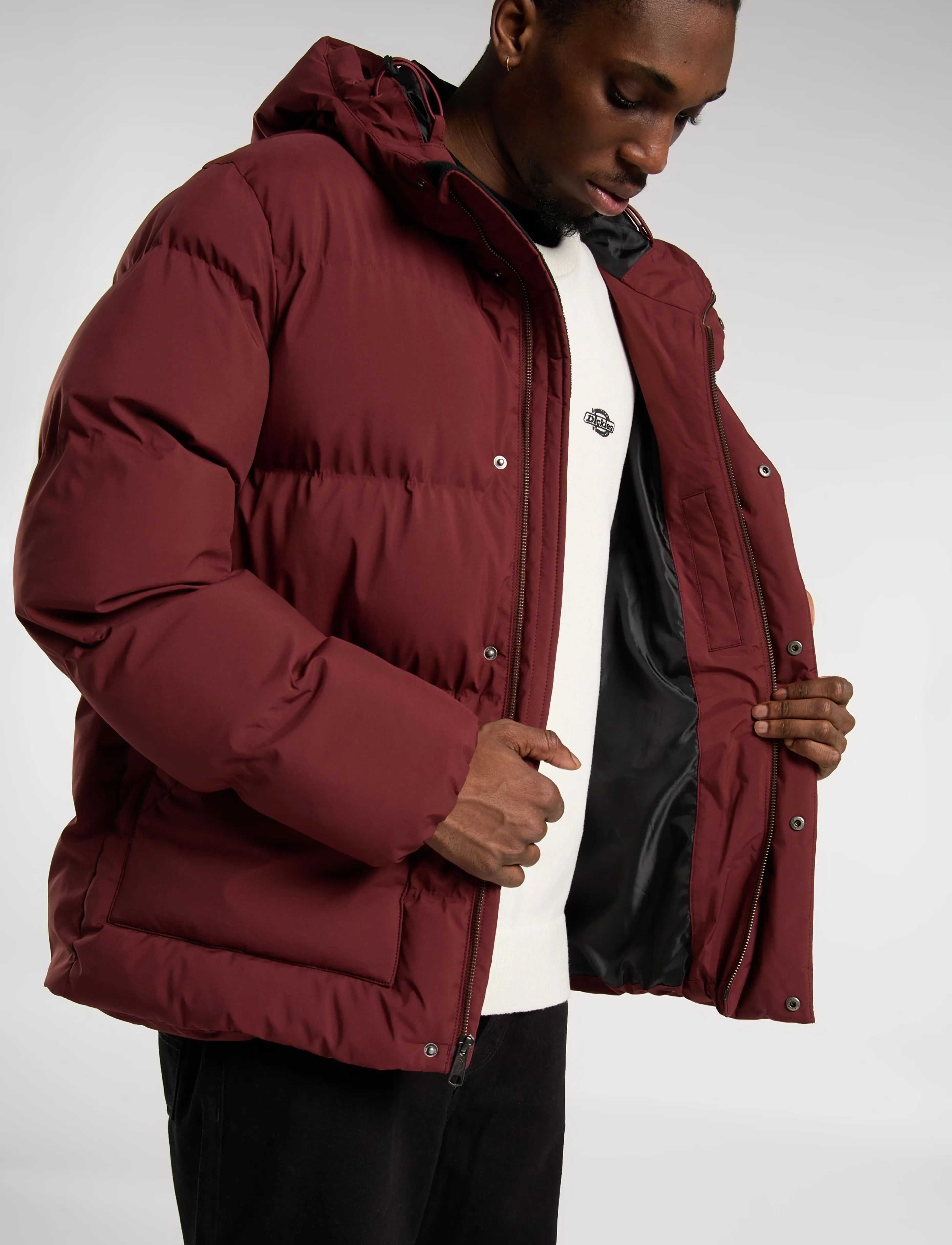 Dickies - EAGLEVILLE HOODED PUFFER - vestes matelassées - andorra - 4