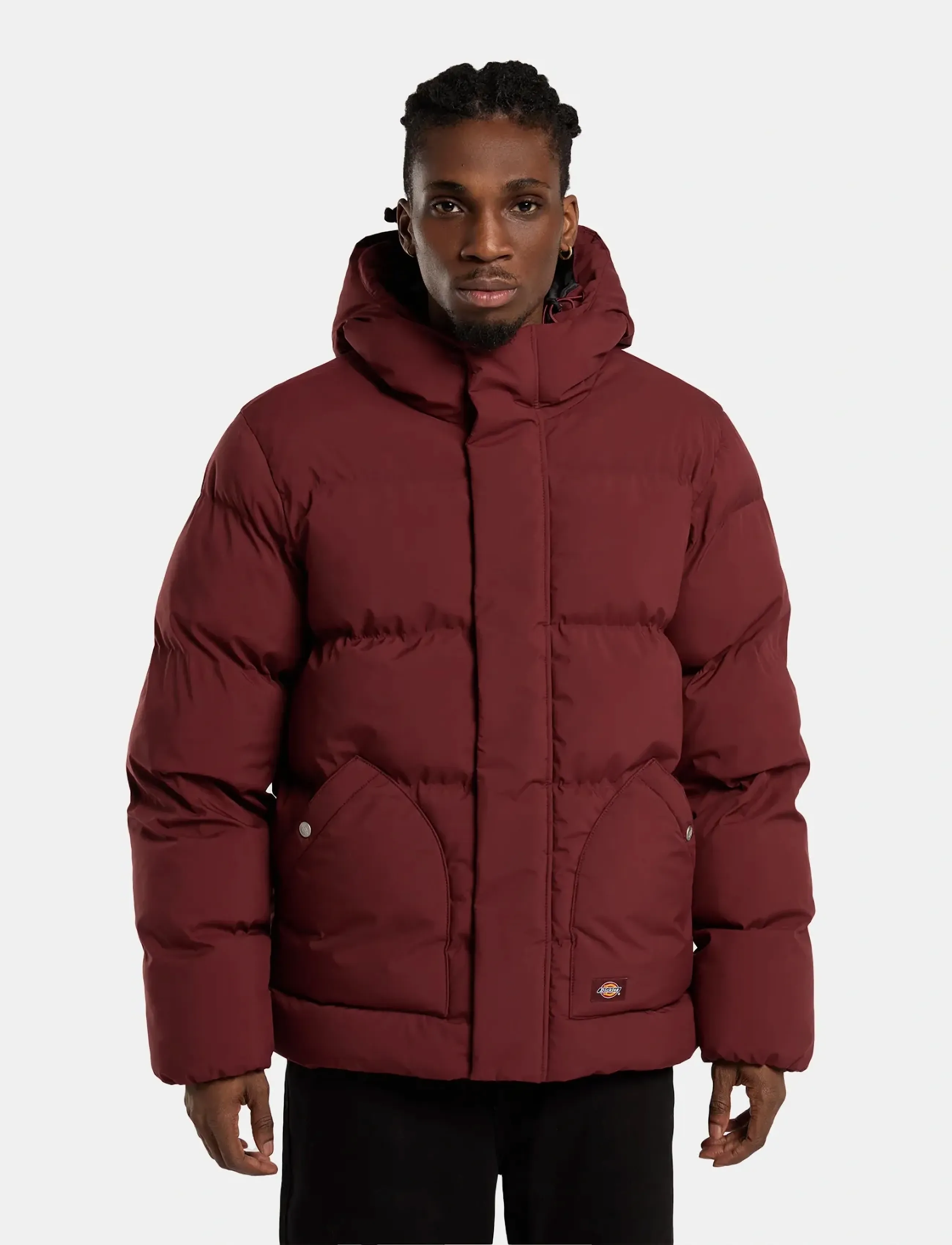 Dickies - EAGLEVILLE HOODED PUFFER - vestes matelassées - andorra - 5