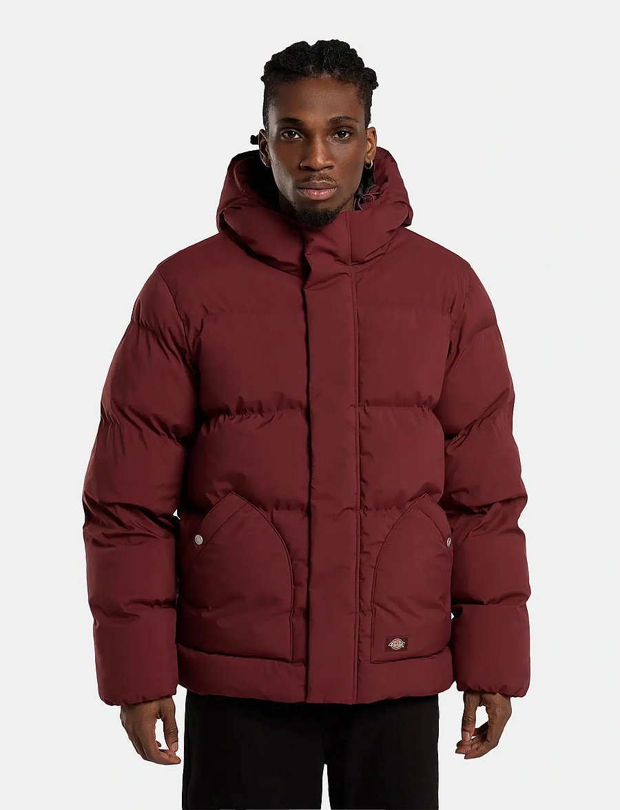 Dickies - EAGLEVILLE HOODED PUFFER - winter jackets - andorra - 5