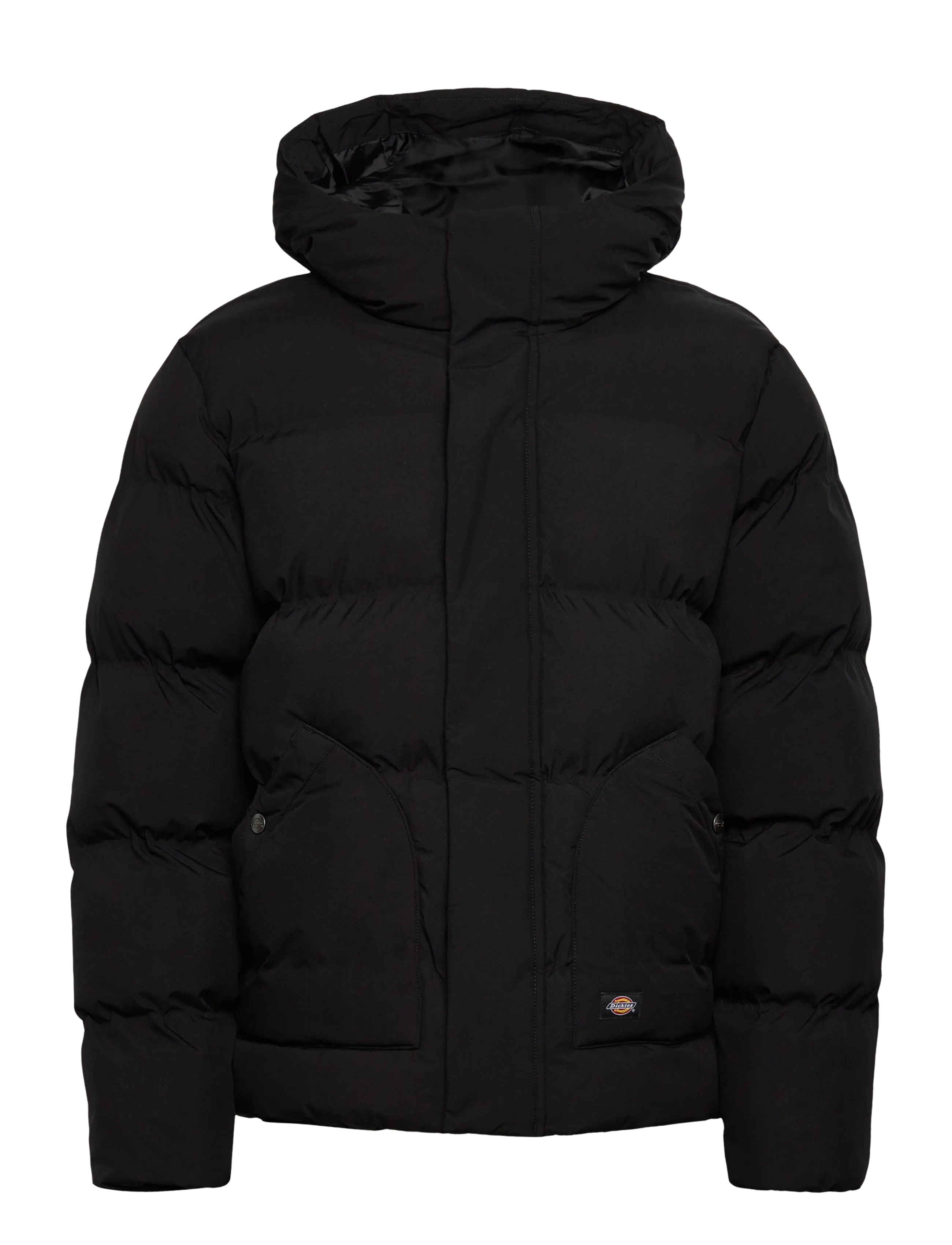 Dickies EAGLEVILLE HOODED PUFFER - Jackor - BLACK / black