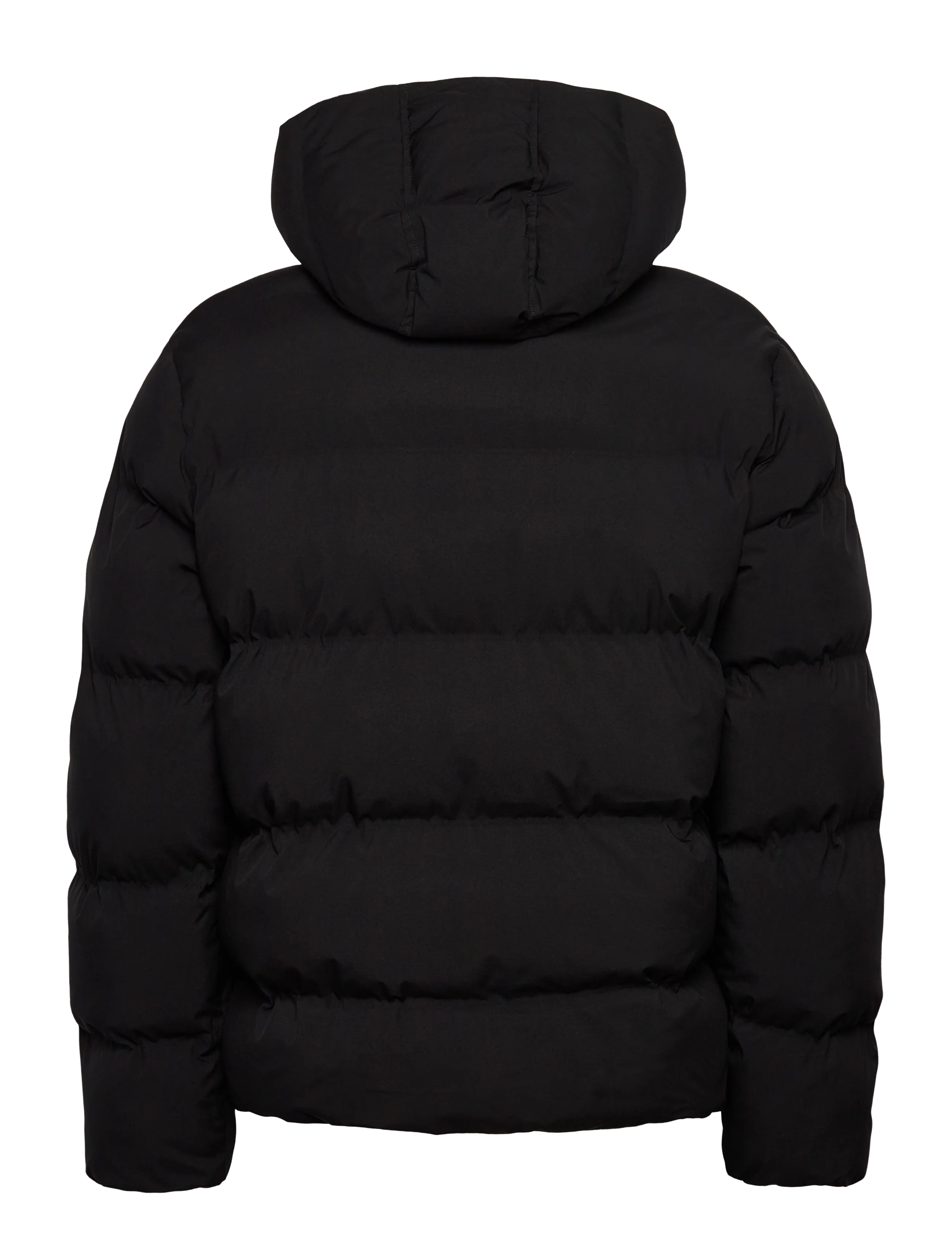 Dickies - EAGLEVILLE HOODED PUFFER - winterjacken - black - 2