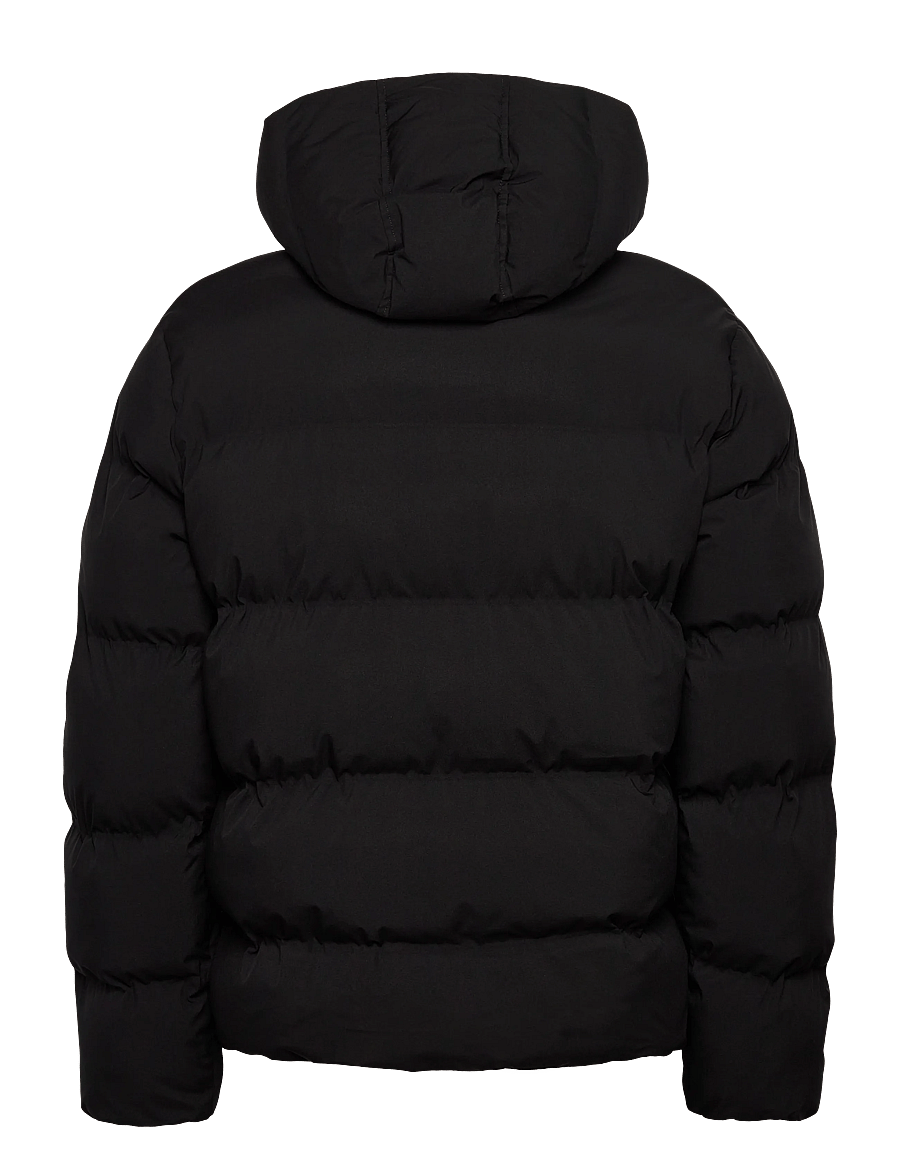 Dickies - EAGLEVILLE HOODED PUFFER - dunjackor - black - 2