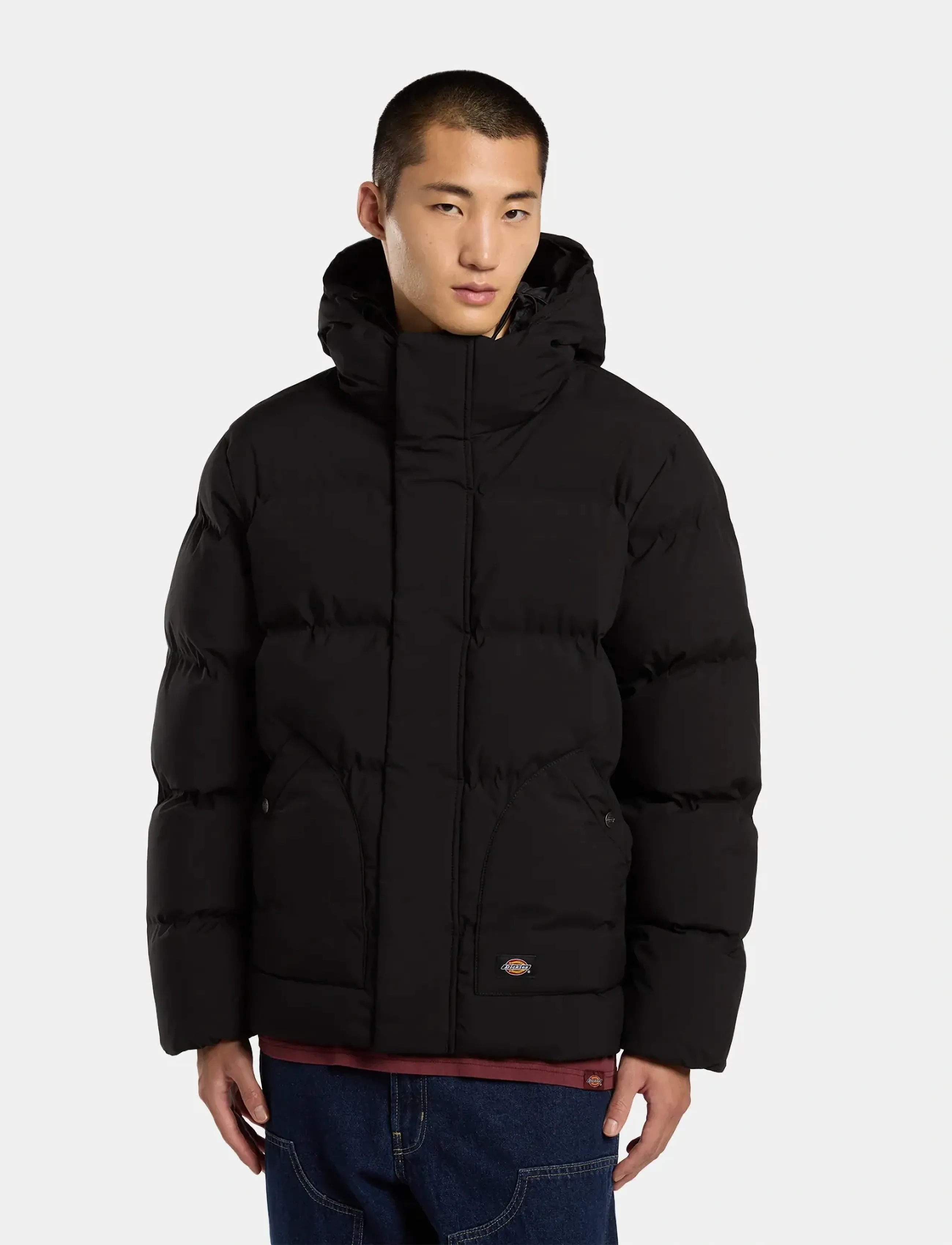 Dickies EAGLEVILLE HOODED PUFFER - Overtøj - BLACK / black
