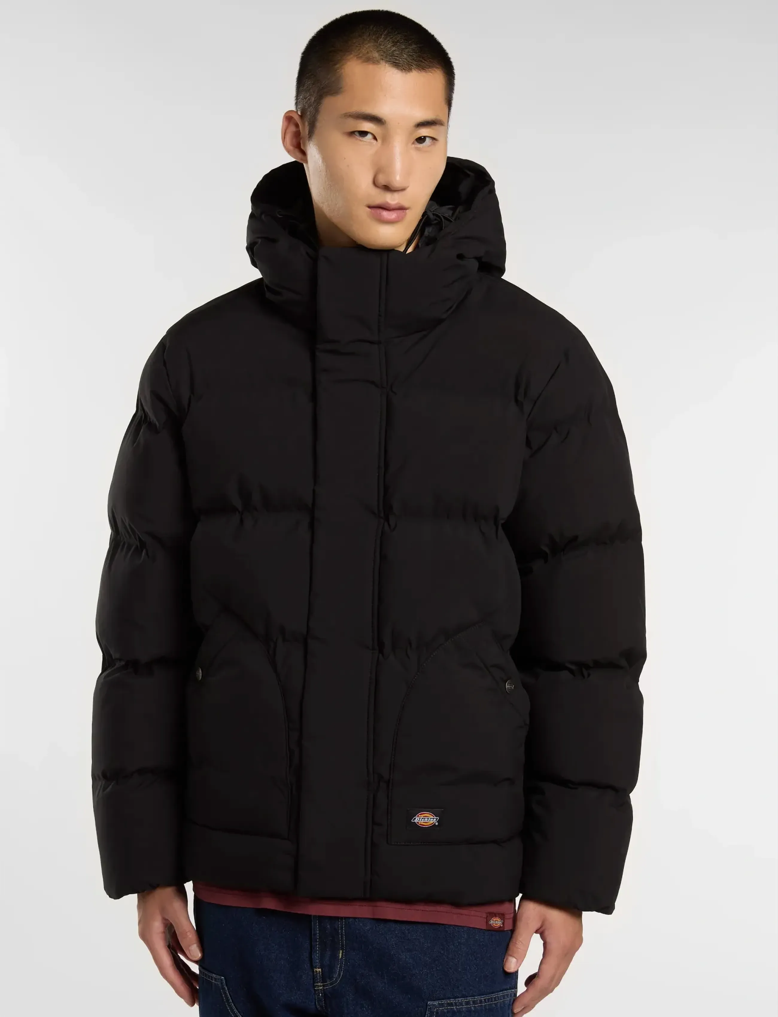Dickies - EAGLEVILLE HOODED PUFFER - winterjacken - black - 3
