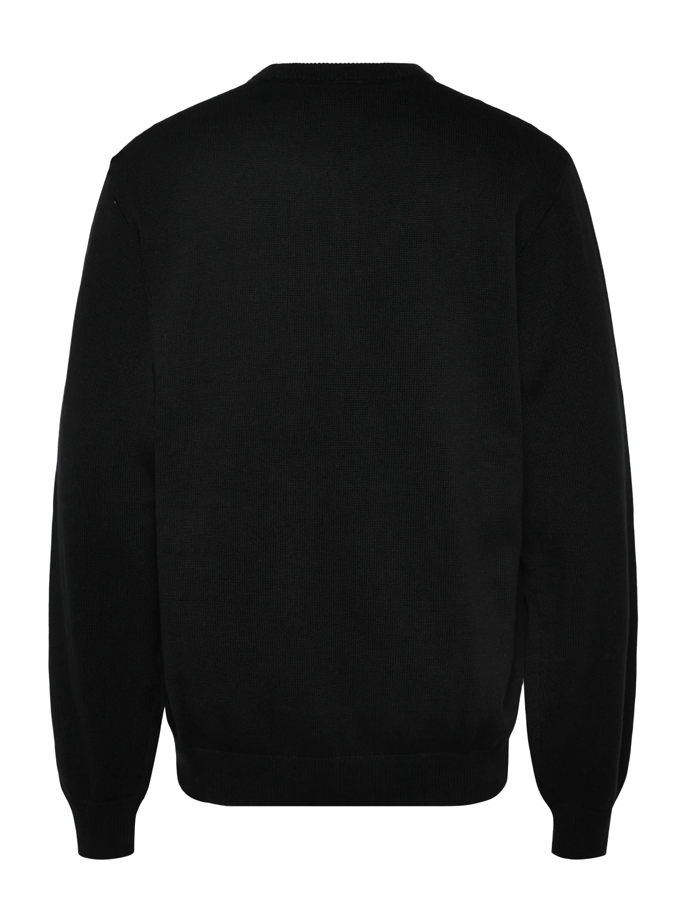 Dickies - SUMMERDALE SWEATER - apsipirkite pagal stilių - black - 1