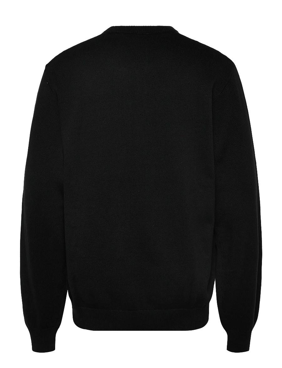 Dickies - SUMMERDALE SWEATER - dressipluusid - black - 2