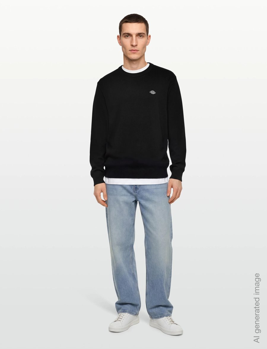 Dickies - SUMMERDALE SWEATER - dressipluusid - black - 0