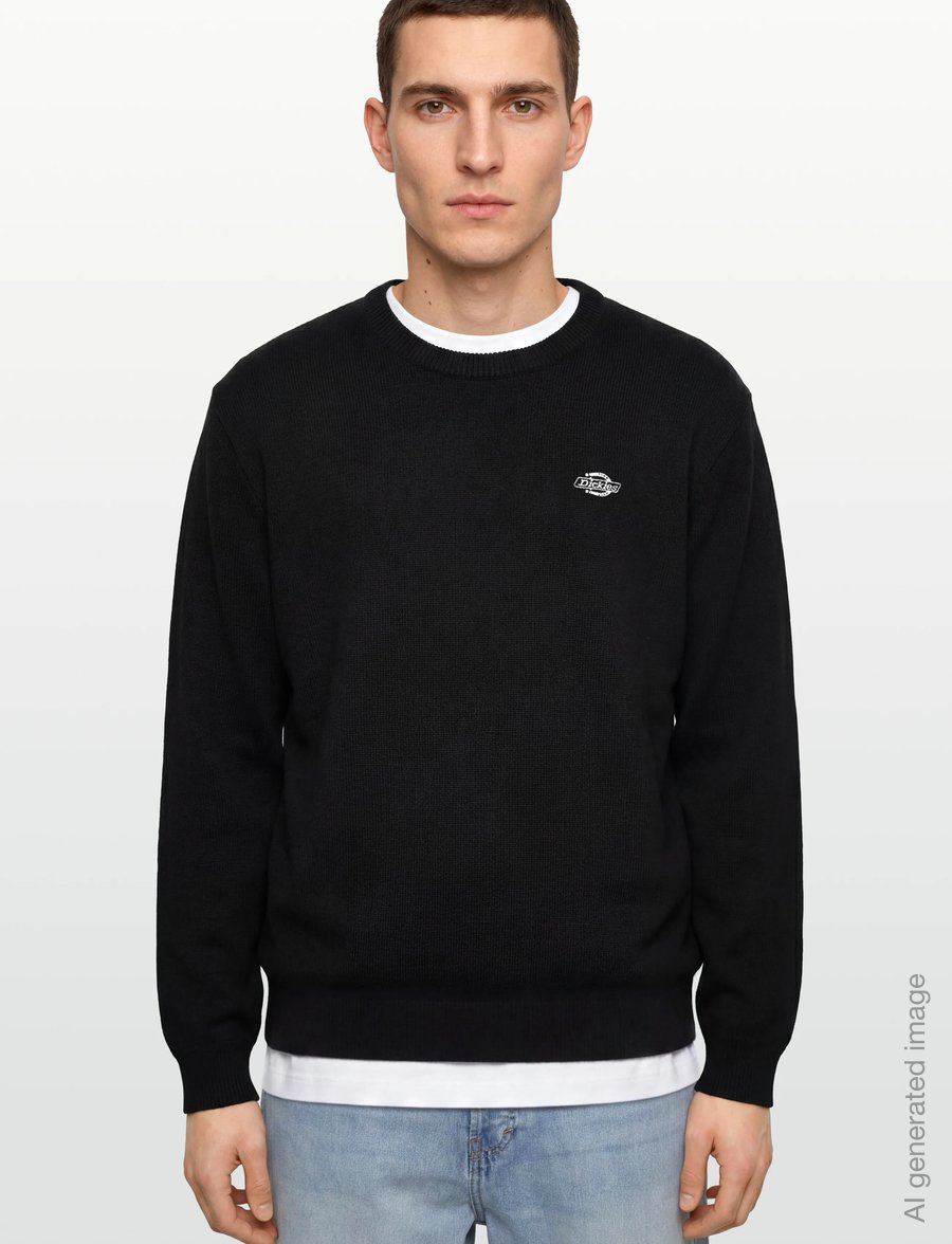 Dickies - SUMMERDALE SWEATER - dressipluusid - black - 3