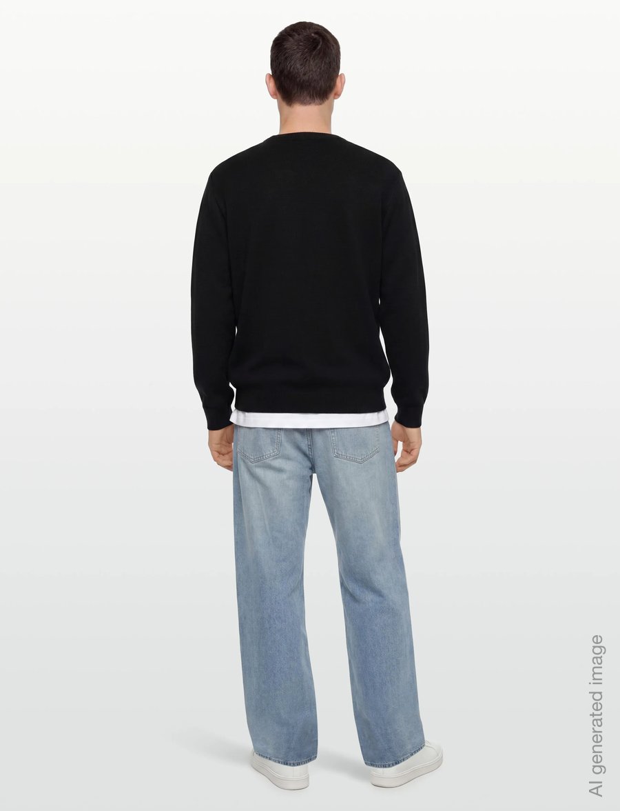 Dickies - SUMMERDALE SWEATER - dressipluusid - black - 4