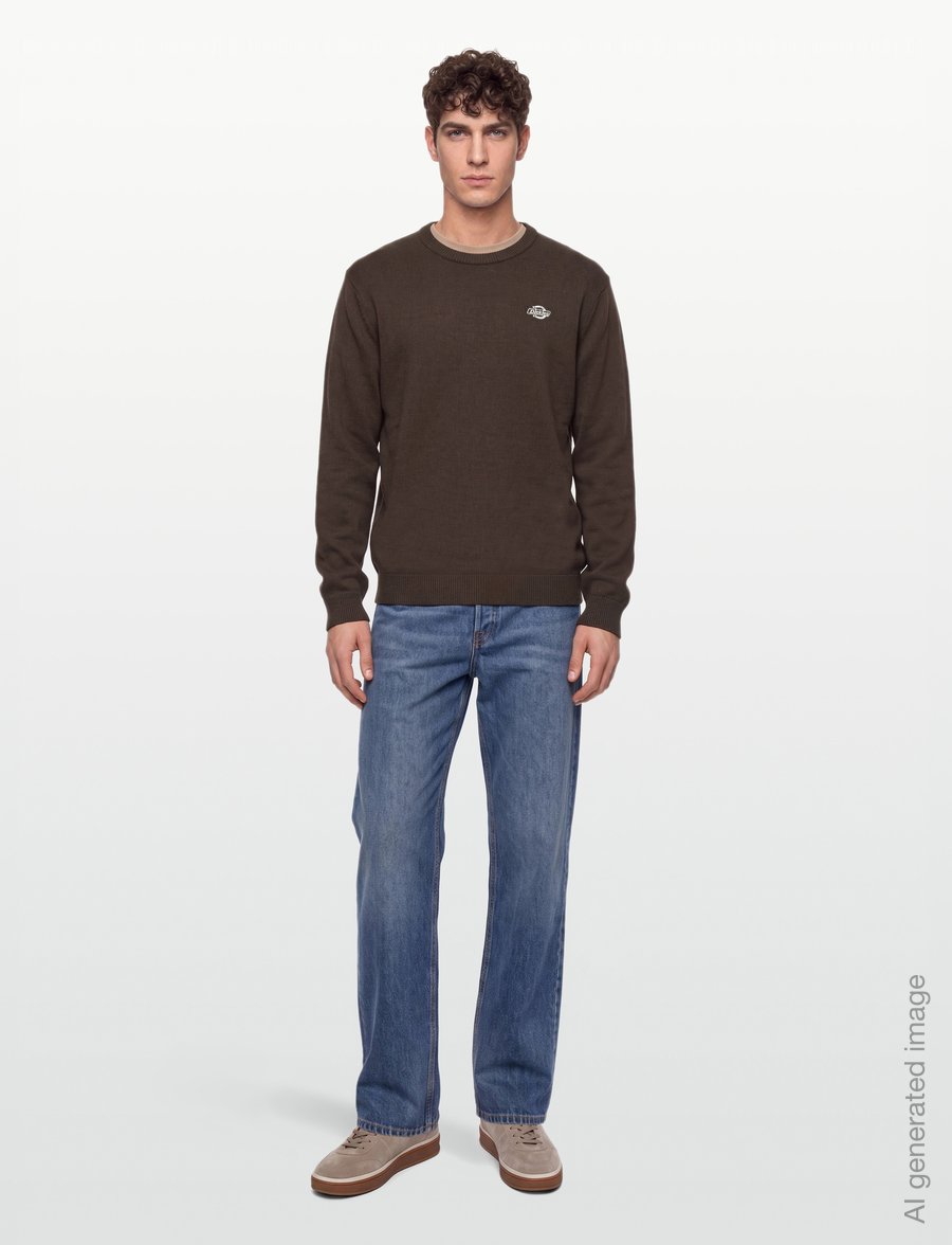Dickies - SUMMERDALE SWEATER - sweatshirts - chocolate brown - 0