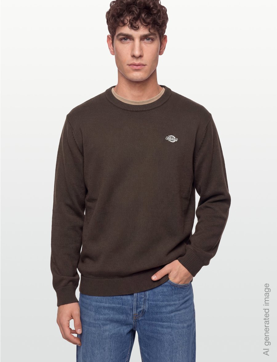 Dickies - SUMMERDALE SWEATER - sweatshirts - chocolate brown - 3